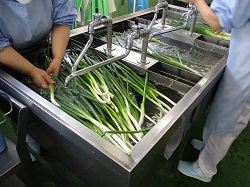 IMG_5240[1]
