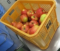 IMG_5908[1]